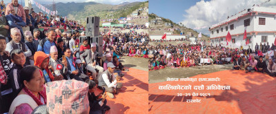 एमाले, कांग्रेस र राप्रपाका ११० जना नेताकार्यकर्ता एकीकृत समाजवादीमा
