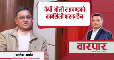 केन्द्रीय कमिटी बैठकमा अध्यक्ष कमरेडको भूमिका अभिभावकिय रह्यो: दामोदर अर्याल