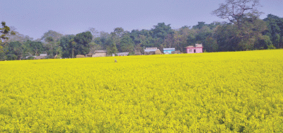 भोलिदेखि नेपालमा  अन्तर्राष्ट्रिय किसानको बैठक हुँदै